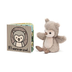 If I Were An Owl Book